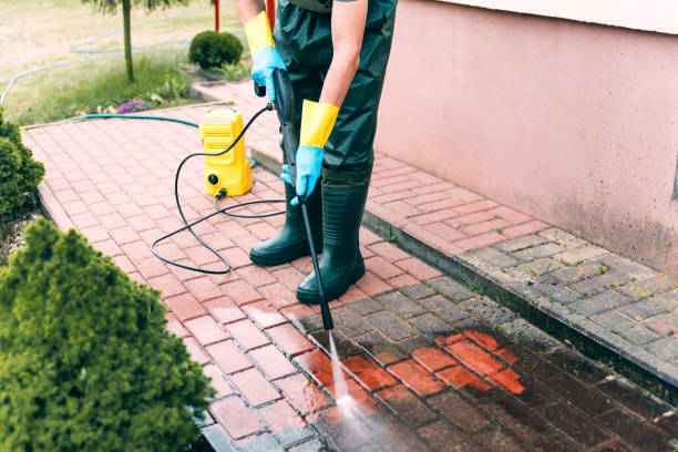 Best Playground Equipment Cleaning  in Bellerose Terrace, NY