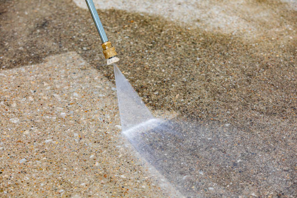 Best Spring Cleaning  in Bellerose Terrace, NY